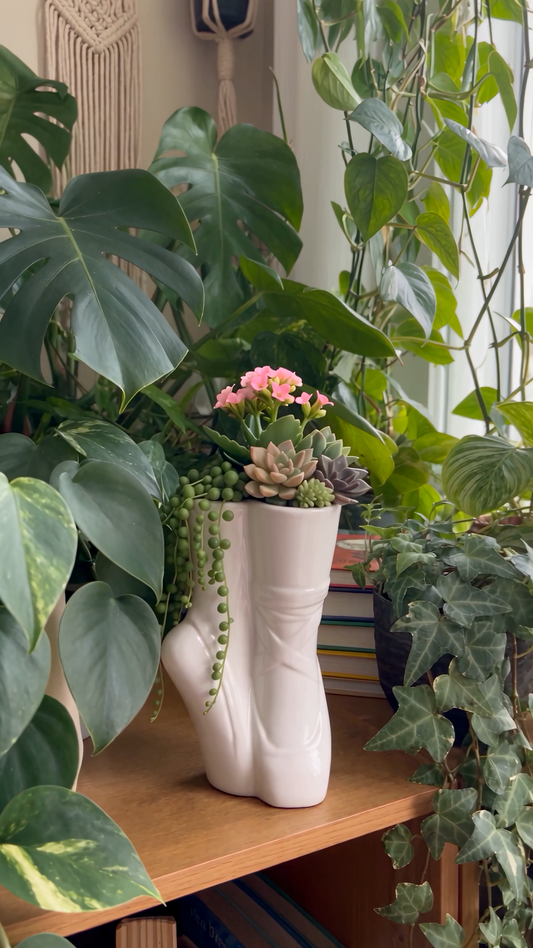 Ballet Shoe Planter
