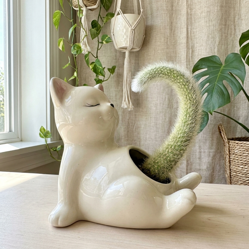 Handmade Tummy Cat Pot